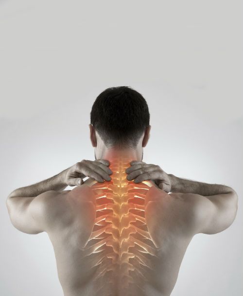 Image for Chiropractor Melbourne with ID of: 2760440