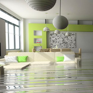 Image for Disaster Pros with ID of: 2760760