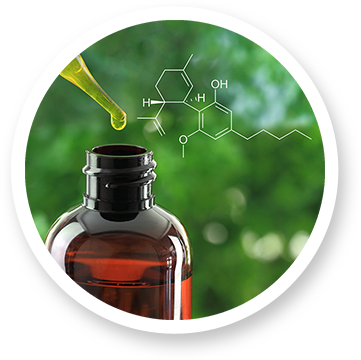 Image for Top Dog CBD with ID of: 2761089