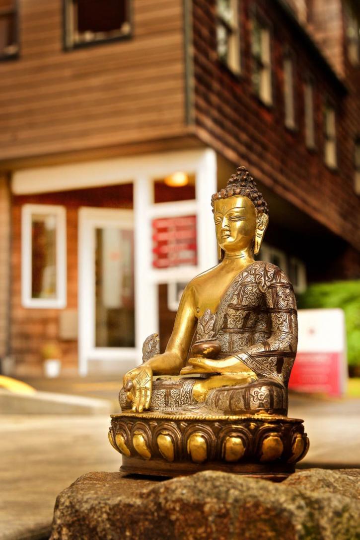 Image for Alchemy Wellness with ID of: 2761548