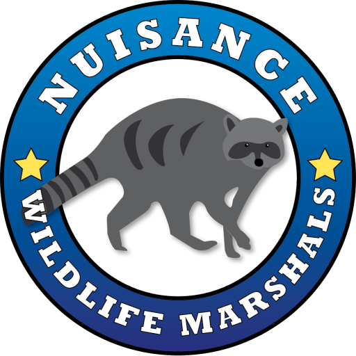 Image for Nuisance Wildlife Marshals with ID of: 2763913