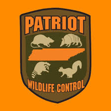 Image for Patriot Wildlife Control with ID of: 2764871