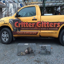 Image for Jesse James Critter Gitters with ID of: 2765510