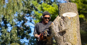 Image for Eric Cartwright's Custom Tree Care with ID of: 2767147