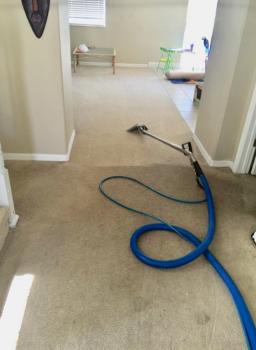 Image for Pure clean with ID of: 2768276