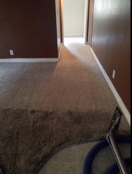 Image for Pure clean with ID of: 2768280