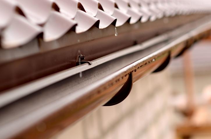 Image for Got Gutters LLC with ID of: 2769647