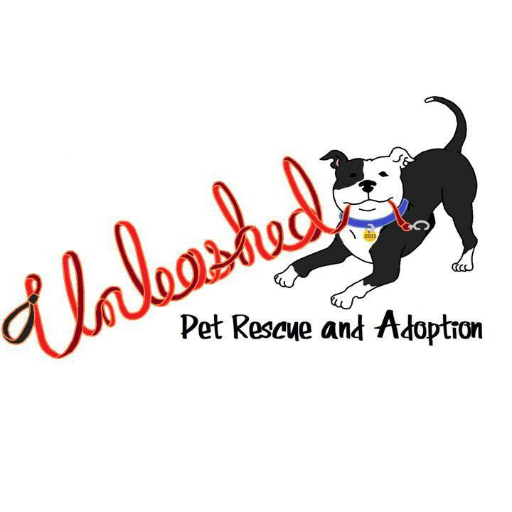 Image for Unleashed Pet Rescue with ID of: 2770032