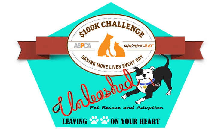 Image for Unleashed Pet Rescue with ID of: 2770034