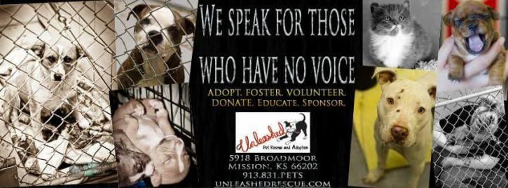 Image for Unleashed Pet Rescue with ID of: 2770039