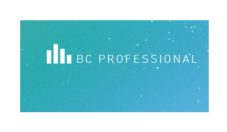 Image for BC PROFESSIONAL with ID of: 2772583