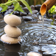 Image for Y & L Asian Massage with ID of: 2773708
