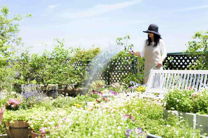 Image for Francisco Lawn Service with ID of: 2777404