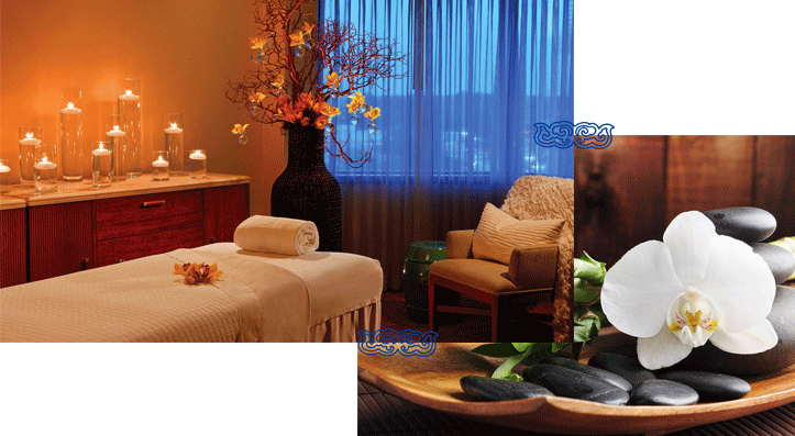 Image for Muse SPA with ID of: 2778739