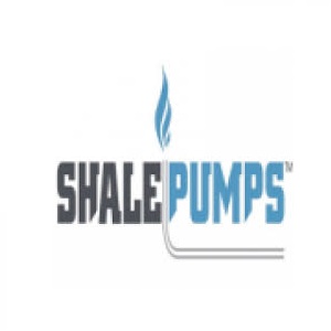 Image for Shale Pumps with ID of: 2779036