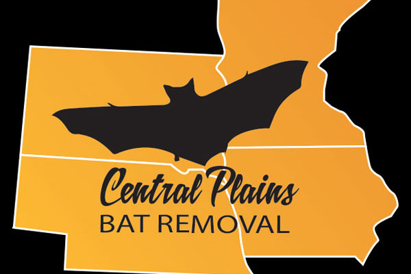 Image for Central Plains Bat Removal with ID of: 2781058