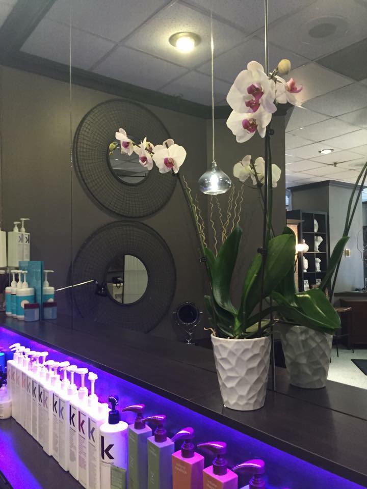 Image for Downtown Salon Phoenix with ID of: 2781073