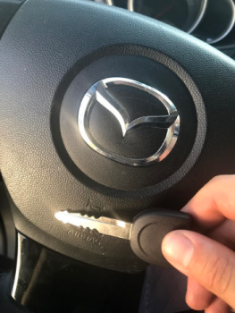 Image for Extra Locksmith with ID of: 2782815