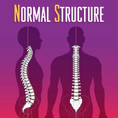 Image for Complete Chiropractic with ID of: 2785918