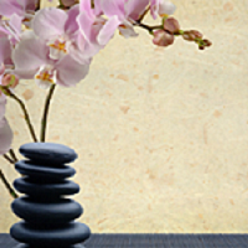 Image for Therapy Plus with ID of: 2786848