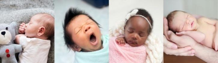 Image for The Surrogacy Center with ID of: 2787104