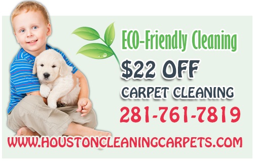 Image for Houston Cleaning Carpets TX with ID of: 2789207