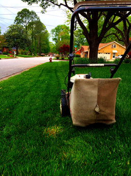 Image for CDA Landscape with ID of: 2789252