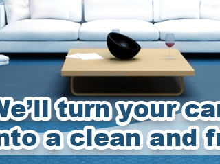 Image for Cypress Carpet Cleaning with ID of: 2789892