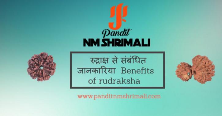 Image for RUDRAKSHA KA MAHTVA – रुद्राक्ष की सम्पूर्ण जानकारी with ID of: 2791194