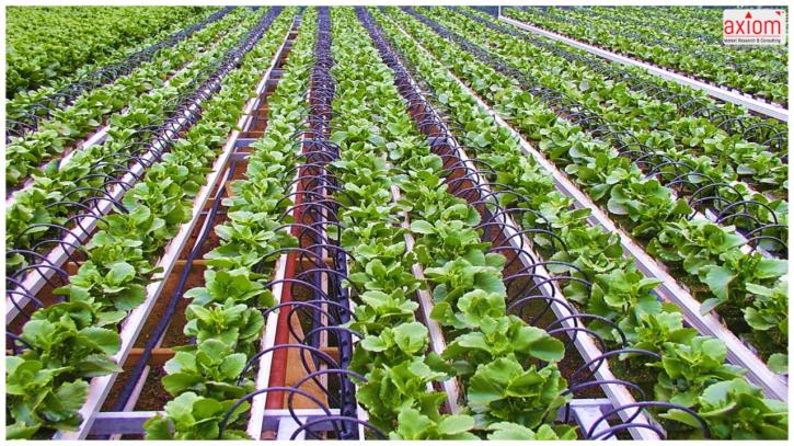 Image for North America Micro Irrigation Systems Market Potential Growth, Analysis, Strategies and Forecast 2024 with ID of: 2793689