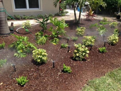 Image for American Irrigation with ID of: 2793736