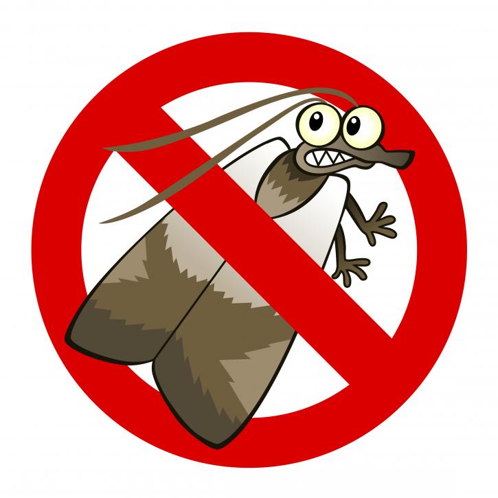 Image for OCP Bed Bug Exterminator Denver CO - Bed Bug Removal with ID of: 2794097