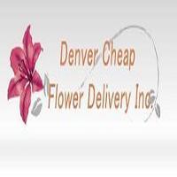 Image for Same Day Flower Delivery Denver CO - Send Flowers with ID of: 2795321