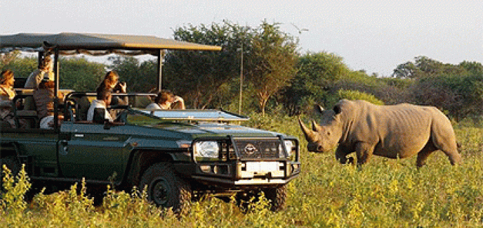 Image for African Safari Holidays with ID of: 2797143