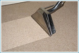 Image for Encino Carpet Cleaning with ID of: 2797636