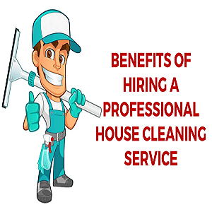 Image for Salter Cleaning service with ID of: 2798880