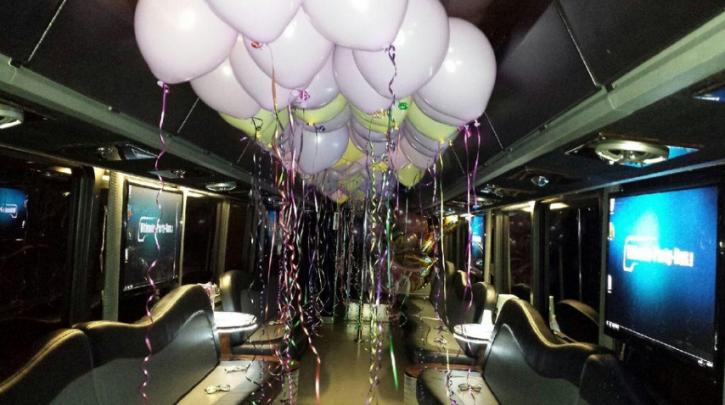 Image for Chicago Party Bus Pros with ID of: 2799564