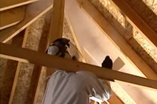 Image for GRAND RAPIDS MOLD REMEDIATION PROS with ID of: 2799769