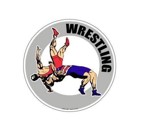Image for Wrestling Mat Light with ID of: 2799929