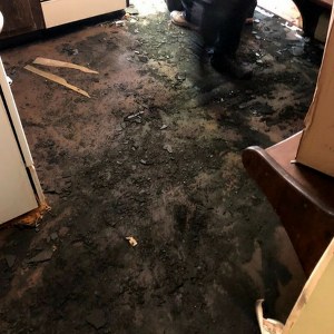 Image for Water Damage Removal Queens with ID of: 2799979