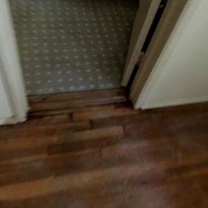 Image for Water Damage Removal Queens with ID of: 2799981