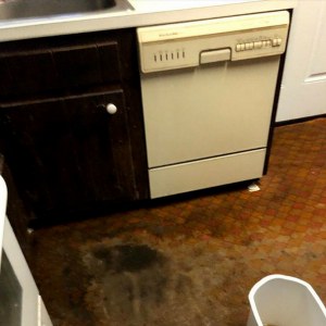Image for Water Damage Removal Queens with ID of: 2799984