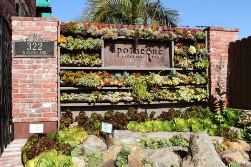 Image for Apotheque Lifestyle Spa with ID of: 2802139