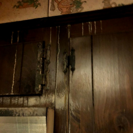Image for Queens Water Damage Restoration with ID of: 2804627