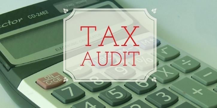 Image for Components of Tax Audit Report with ID of: 2804692