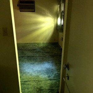 Image for Water Damage Restoration with ID of: 2805521