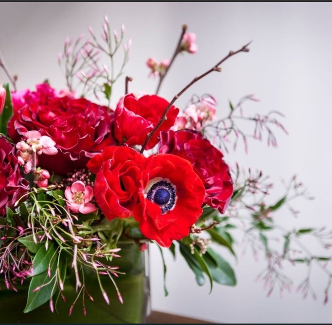 Image for Urban Botanica with ID of: 2806040