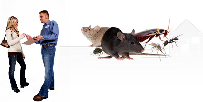 Image for Pest control Inc with ID of: 2806684