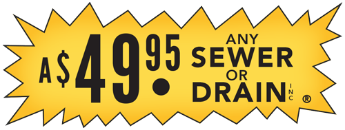 Image for A 49.95 Any Sewer Or Drain with ID of: 2806723