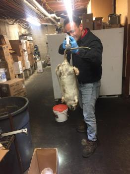 Image for Mission Exterminating with ID of: 2807348